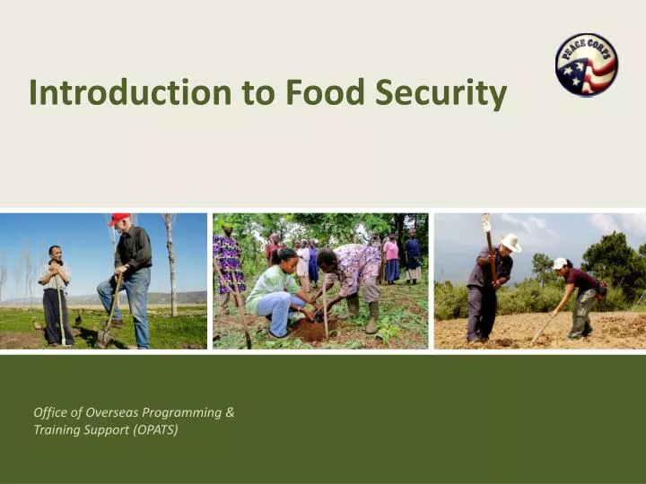 dissertations on food security