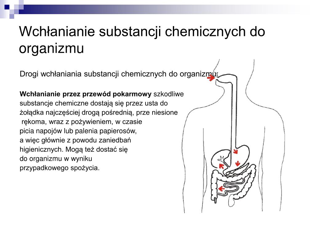 Trawienie Chemiczne W żołądku Przeżuwaczy Odbywa Się Głównie PPT - Zagrożenia czynnikami chemicznymi w środowisku pracy i