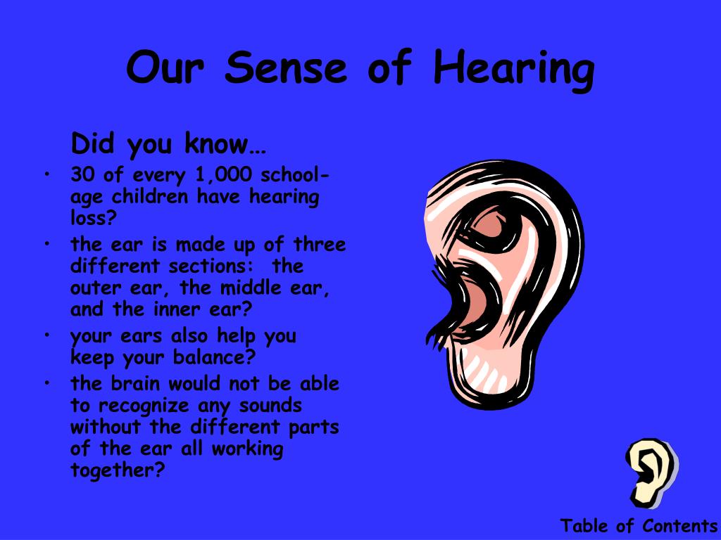 auditory senses