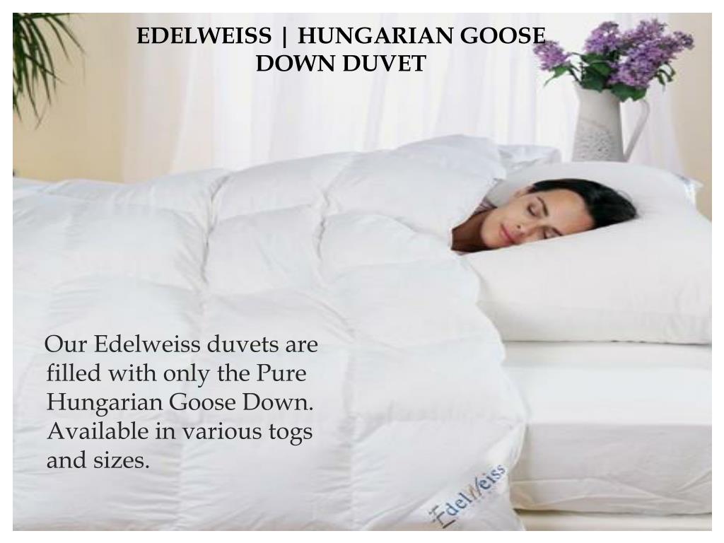 Ppt Edleweiss Goose Down Duvet And Pillows Powerpoint