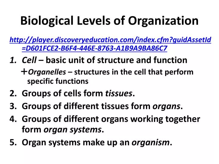 presentation of biological organization