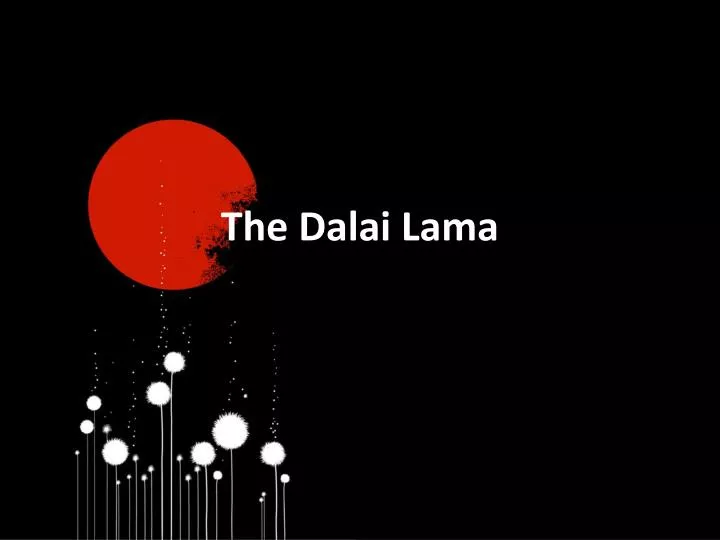 the dalai lama n.