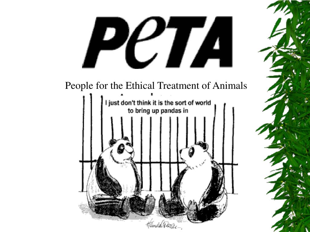 PPT - People for the Ethical Treatment of Animals PowerPoint Presentation - ID:4581652 PPT - People for the Ethical Treatment of Animals PowerPoint Presentation - ID:4581652