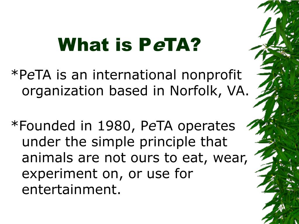 PPT People For The Ethical Treatment Of Animals PowerPoint 