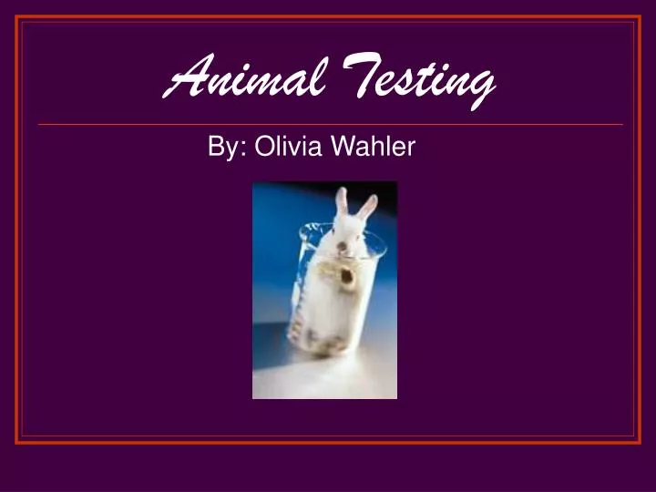 PPT - Animal Testing PowerPoint Presentation, free download - ID:4581660
