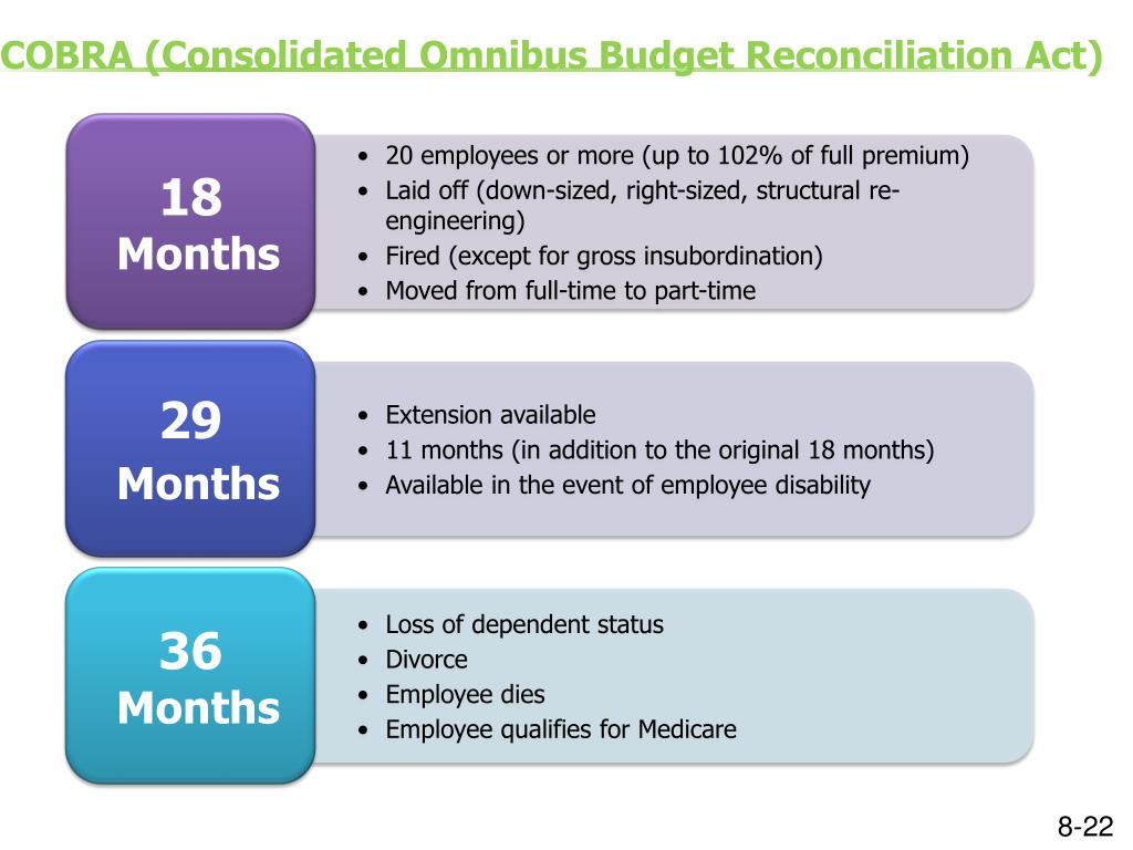 omnibus budget reconciliation act omnibus budget reconciliation act