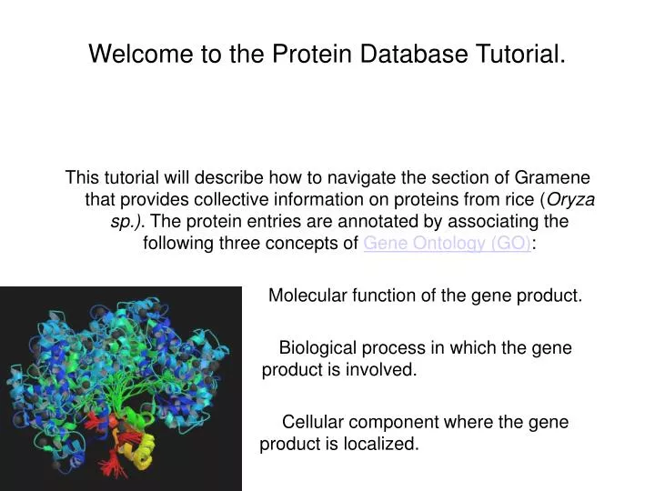 PPT - Welcome to the Protein Database Tutorial. PowerPoint Presentation ...