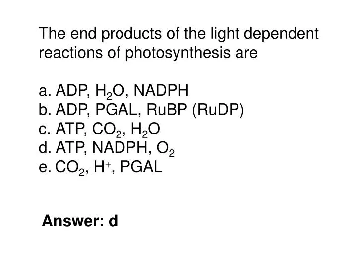 PPT - The end products of the light dependent reactions of photosynthesis  are ADP, H 2 O, NADPH PowerPoint Presentation - ID:4584636