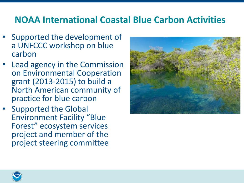 PPT - What is “Coastal Blue Carbon”? PowerPoint Presentation, free ...