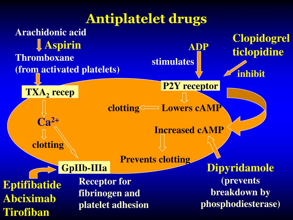 Клопидогрел механизм действия. Antiplatelet drugs. Antiplatelet drugs list. Clopidogrel mechanism. Antiplatelet drugs receptors.
