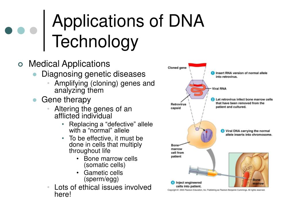applications of dna technology assignment edgenuity
