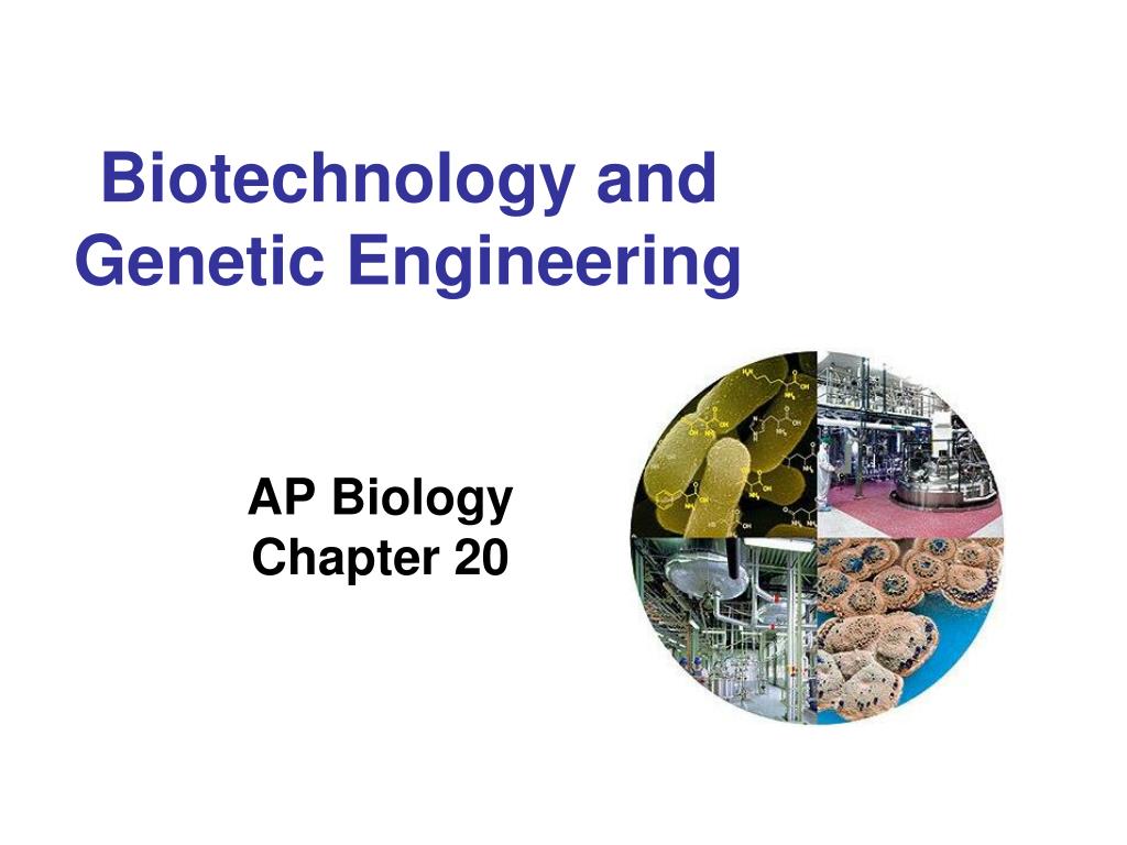 PPT Biotechnology and Engineering PowerPoint Presentation