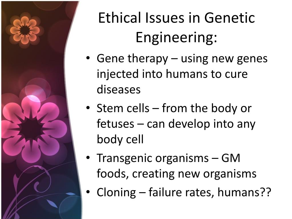 genetic engineering ethics essay