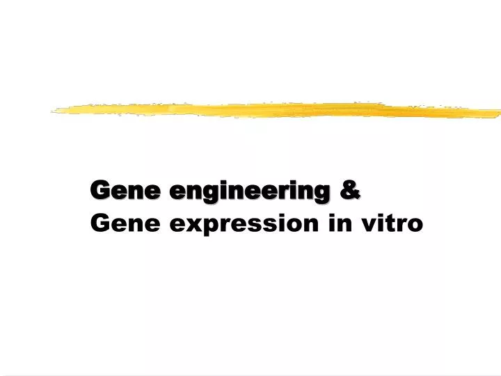 gene engineering gene expression in vitro n.