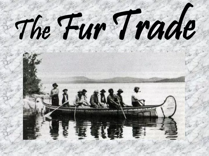 the fur trade n.