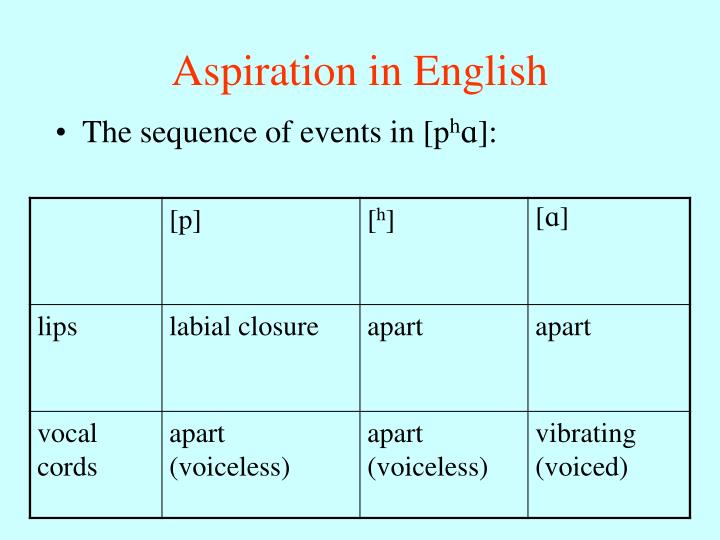 PPT Phonology contrast, complementary distribution PowerPoint