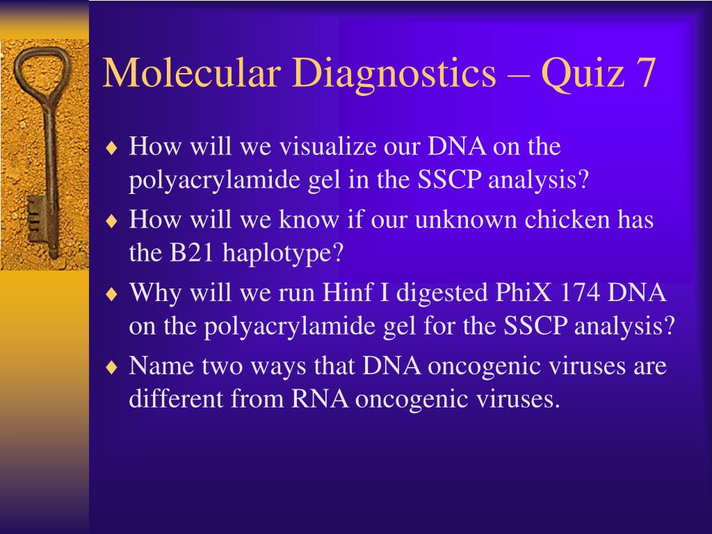 PPT - Molecular Diagnostics – Quiz 7 PowerPoint Presentation, free ...