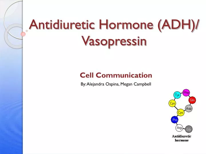antidiuretic hormone adh vasopressin n.