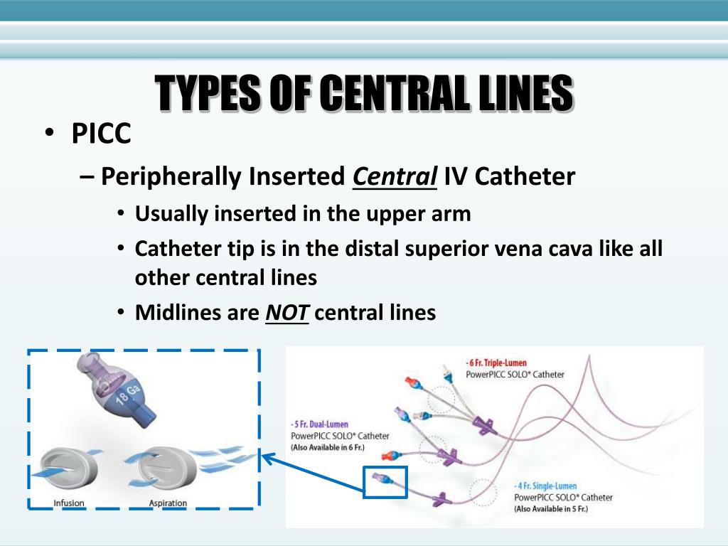 PPT Central Lines Patient Safety Considerations PowerPoint