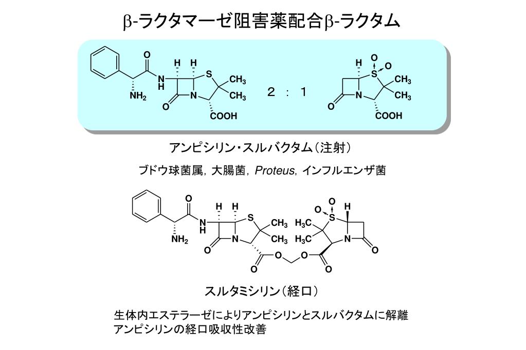 Ppt B ーラクタム系抗菌薬 Powerpoint Presentation Free Download Id