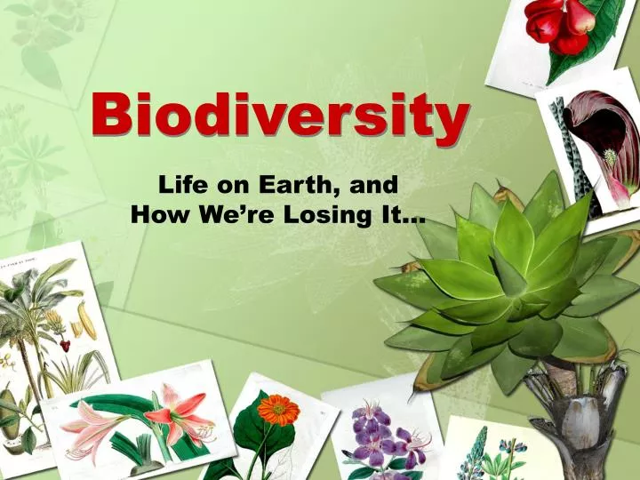 presentation topics on biodiversity