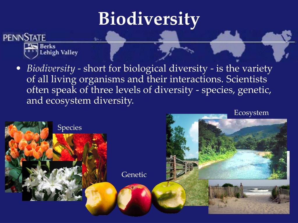 biodiversity ppt presentation free download