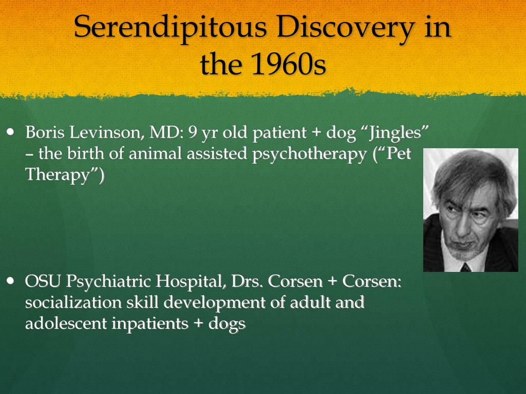 PPT Animal Assisted Psychotherapy AAP PowerPoint Presentation
