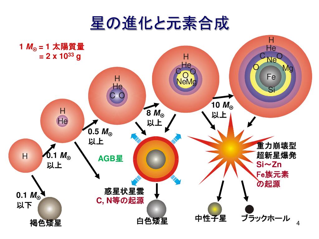 大質量星の進化、元素合成