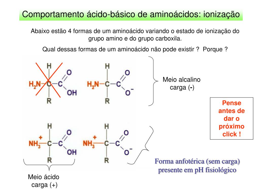 PPT - Aminoácidos e a Ligação Peptídica: a base estrutural das proteínas  PowerPoint Presentation - ID:4596555, image size:1024x768