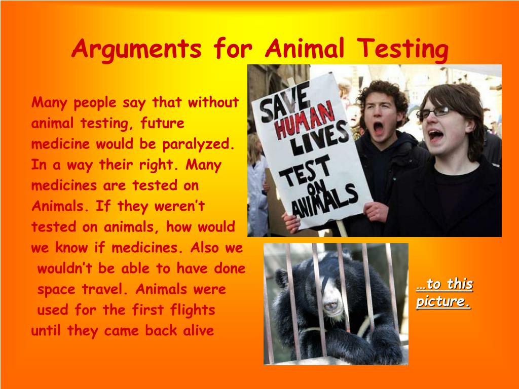PPT - Animal Testing PowerPoint Presentation, free download - ID:4597865