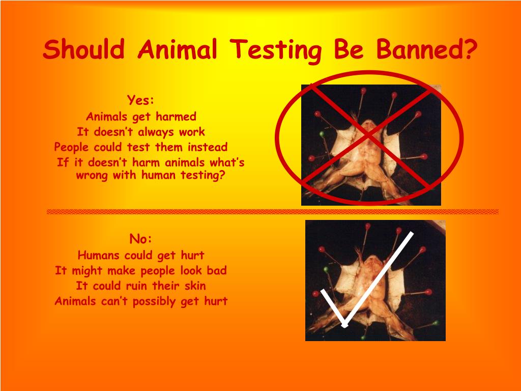 essay animal testing should be banned
