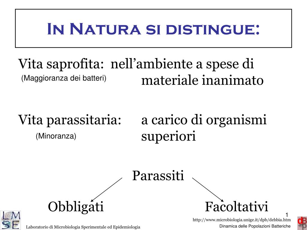 PPT - In Natura si distingue: PowerPoint Presentation, free download -  ID:4599116