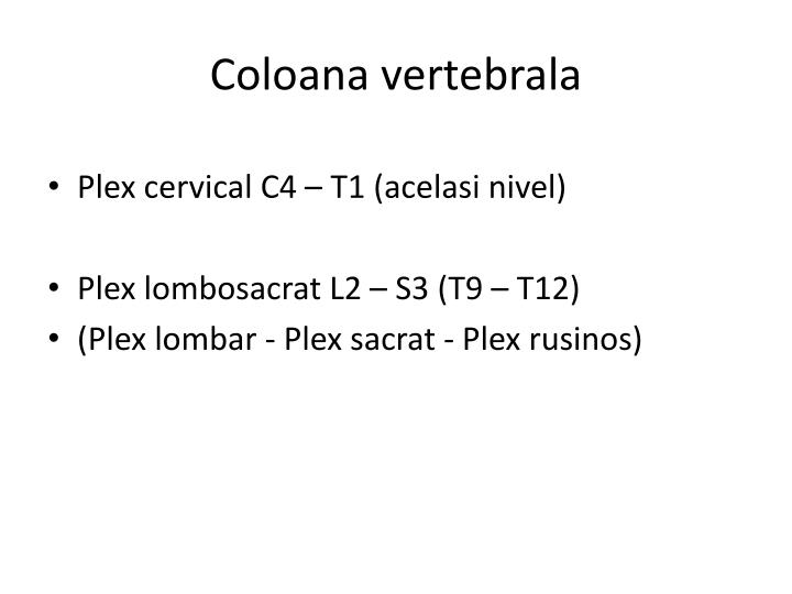 Cauzele ginecologice ale durerii de spate