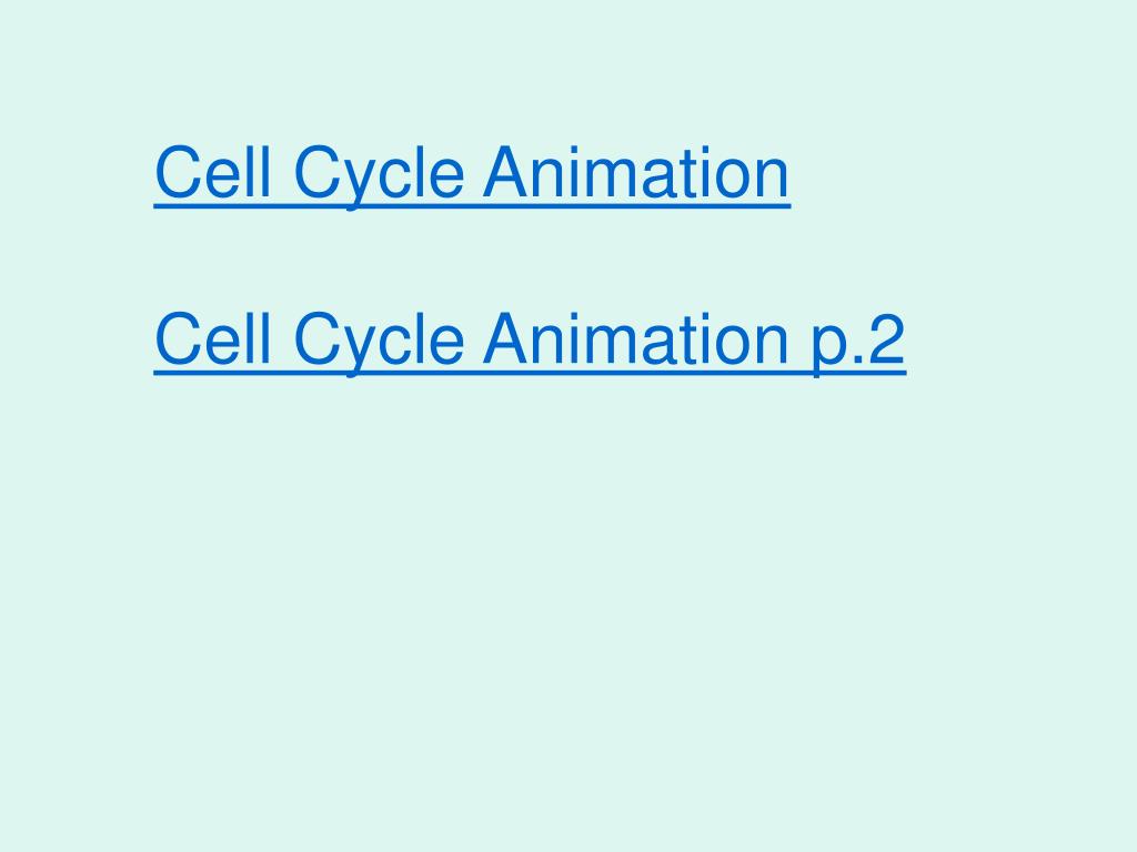 Ch 10 Mitosis PowerPoint Presentation, free download Biology Diagrams