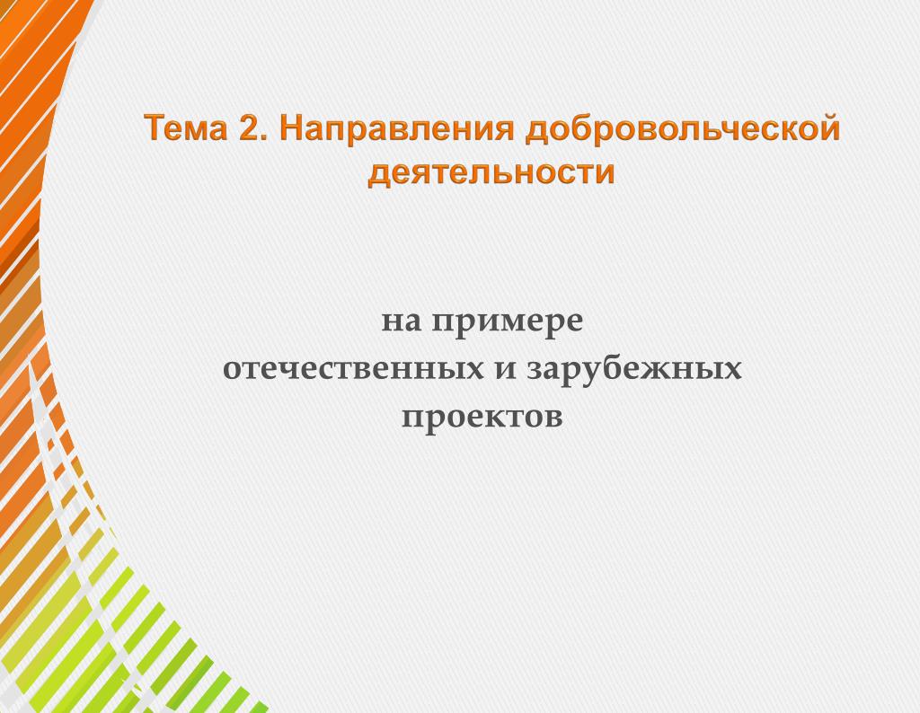 Проект по добровольческой деятельности