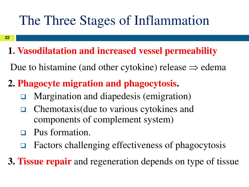 Five stages of inflammation non surgical orthopaedics vrogue co