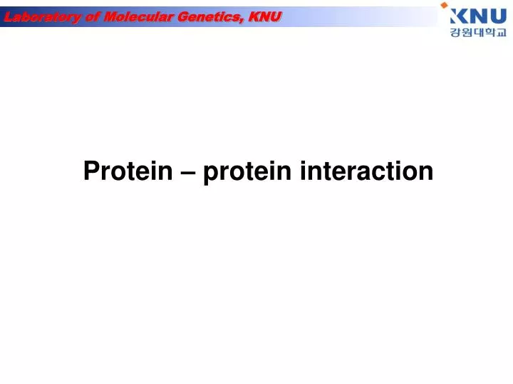 protein protein interaction n.