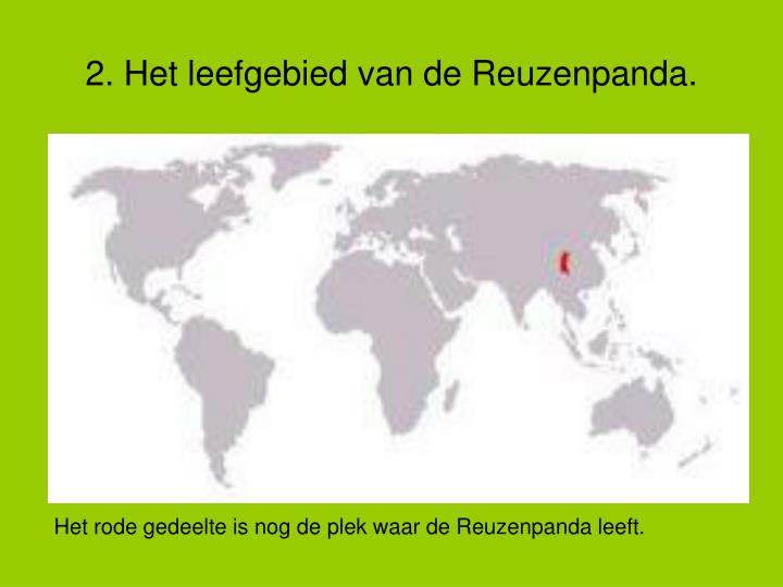 PPT - De Panda PowerPoint Presentation - ID:4605136