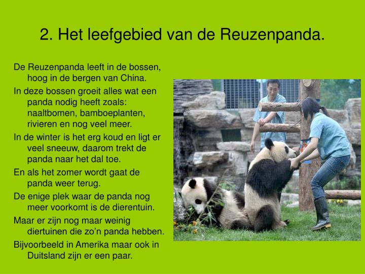 PPT - De Panda PowerPoint Presentation - ID:4605136
