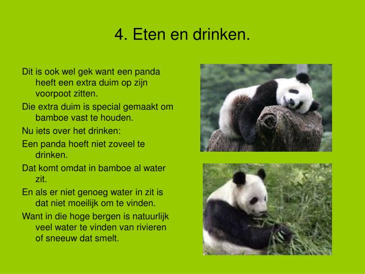 PPT - De Panda PowerPoint Presentation - ID:4605136