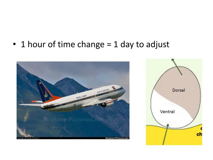 lag mechanism jet and Shift Jet Circadian Lag PPT Disrupting rhythms Lag lag mechanism jet and Shift Jet Circadian Lag PPT Disrupting rhythms Lag