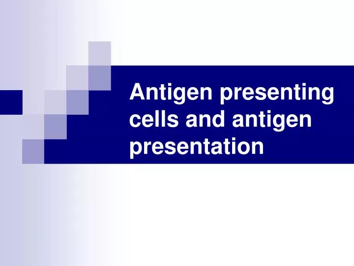 PPT Antigen presenting cells and antigen presentation PowerPoint