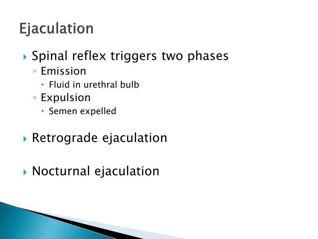 PPT Chapter 3 Female Sexual Anatomy And Physiology PowerPoint PPT Chapter 3 Female Sexual Anatomy And Physiology PowerPoint