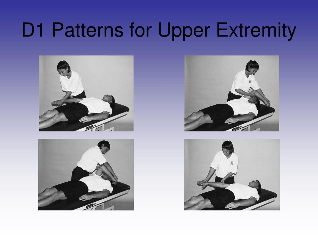 PPT Chapter 15 PNF and Other Soft Tissue Mobilization Techniques in