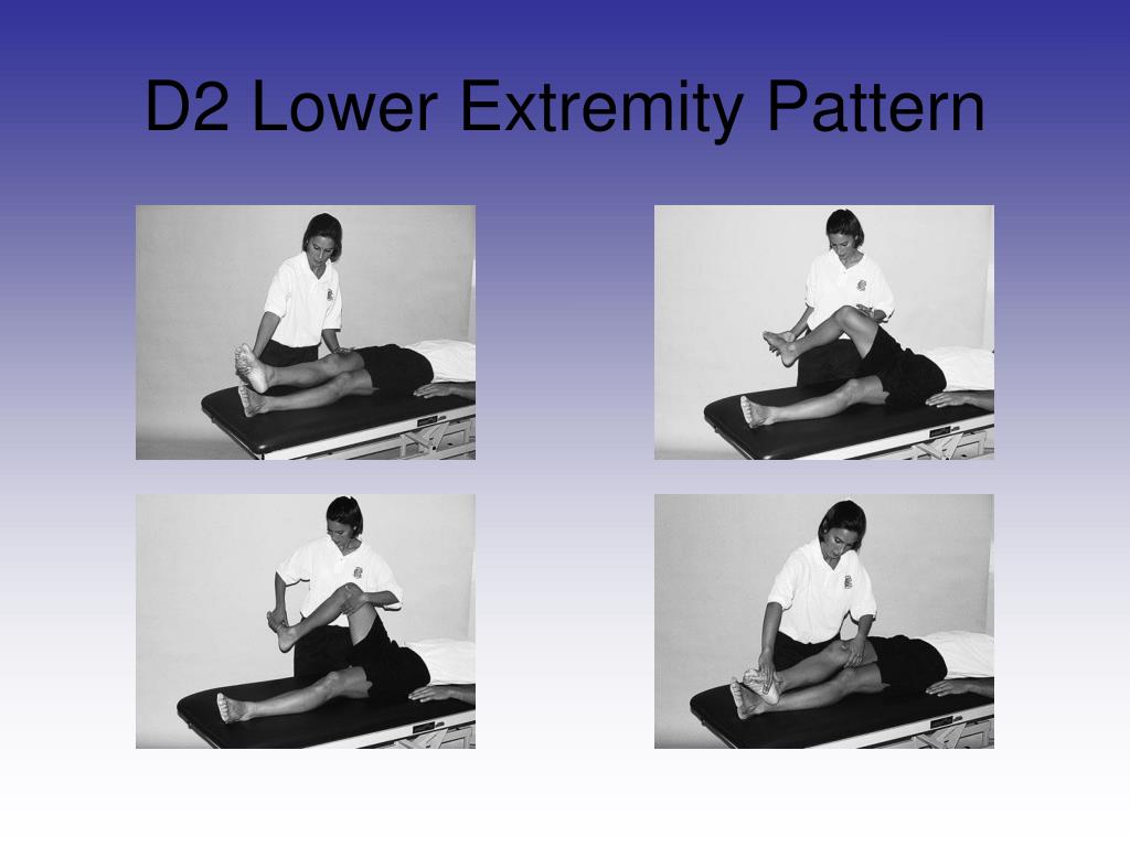 PPT Chapter 15 PNF and Other Soft Tissue Mobilization Techniques in