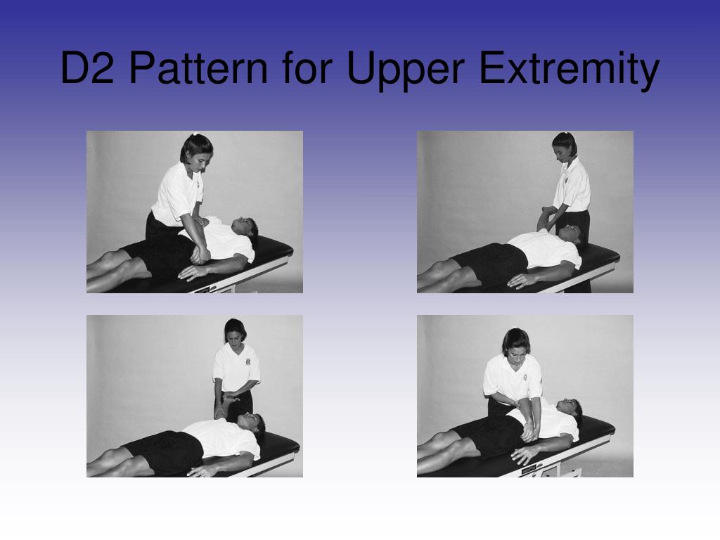 PPT Chapter 15 PNF and Other Soft Tissue Mobilization Techniques in