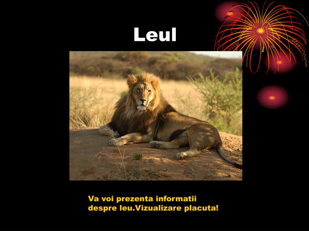 PPT - Leul PowerPoint Presentation, free download - ID:4607836