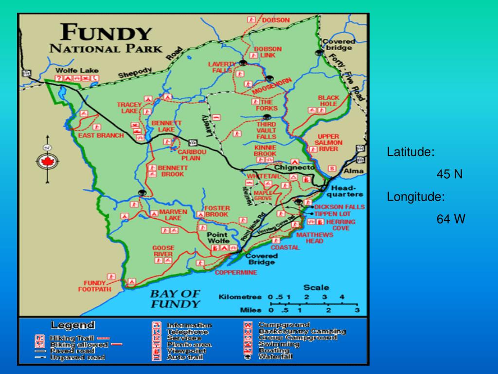 Fundy Files — Happy Birthday, c!Fundy!