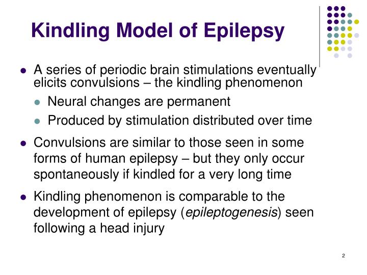 kindling hypothesis seizures