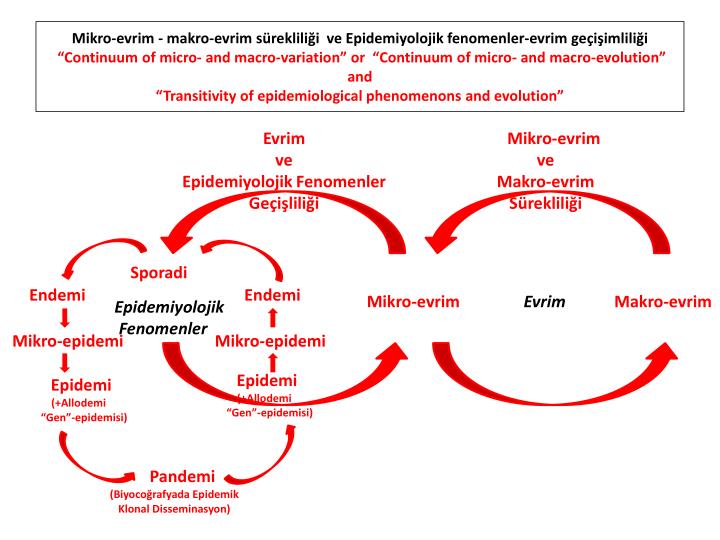 micro and macro evolution notes micro and macro evolution notes